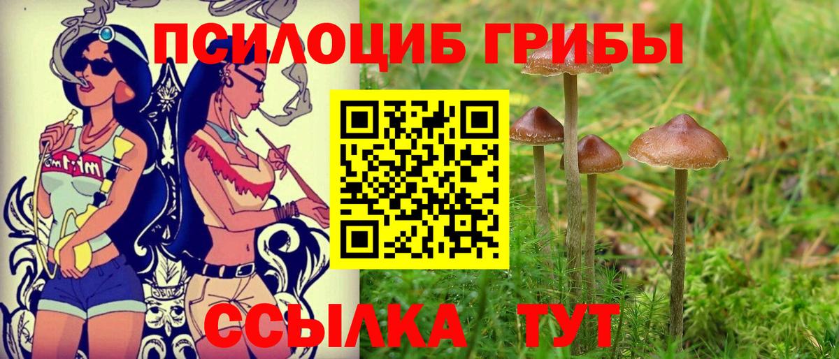 Богданович  Псилоцибиновые грибы ЛСД  Вход с VPN 