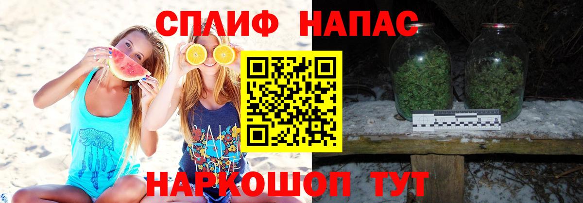 Каннабис гибрид Богданович